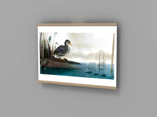 Aviendo Mrs. Duck and her Eggs Poster no. 2 - UD082